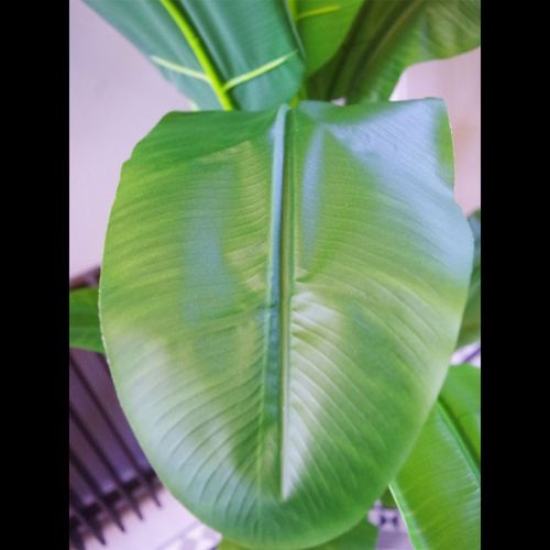 180cm Lifelike Artificial Banana Plant – Transform Your Space into Tropical Bliss! - plants - express.com