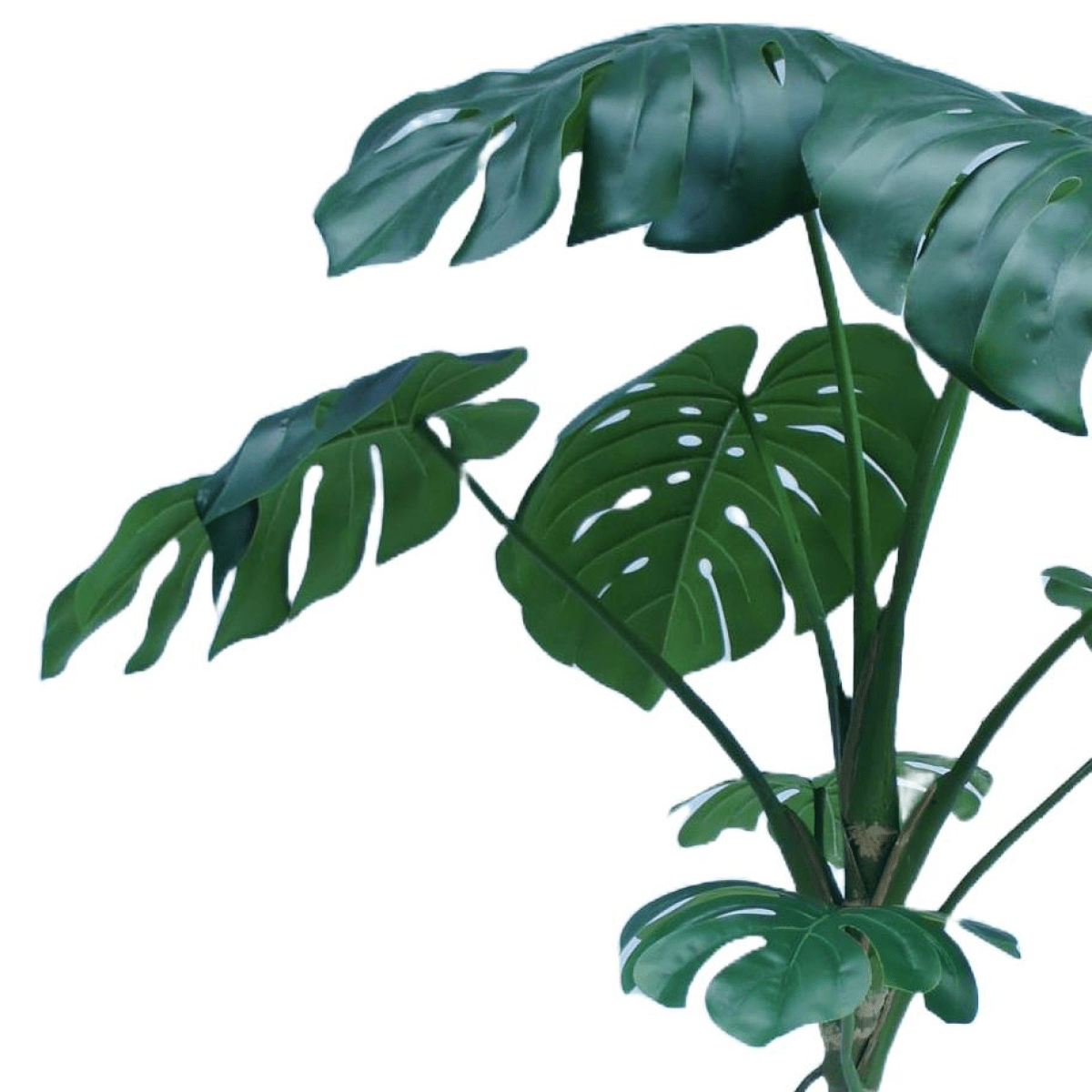 180cm Lifelike Monstera Artificial Tree - Effortless Greenery for Any Space! - plants - express.com