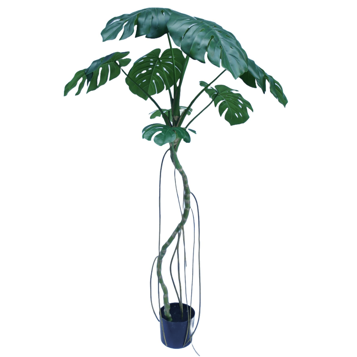 180cm Lifelike Monstera Artificial Tree - Effortless Greenery for Any Space! - plants - express.com