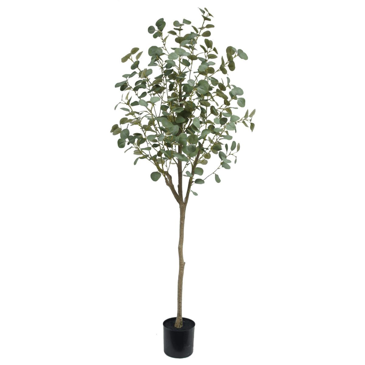 180cm Lifesize Eucalyptus Silk Tree - Effortless Greenery for Any Space - plants - express.com
