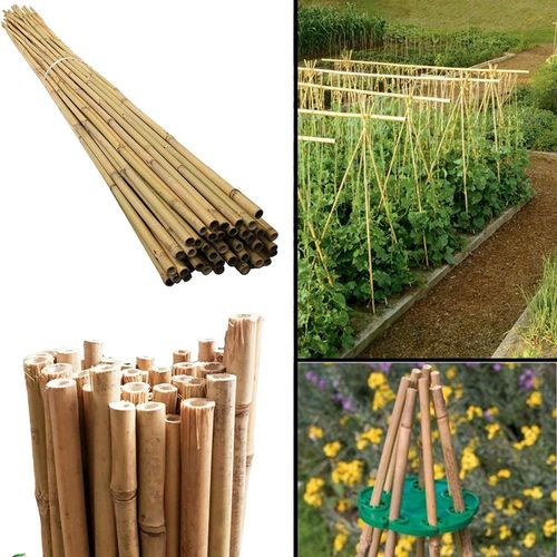 20 Premium 5FT Eco - Friendly Bamboo Canes for Versatile Garden Solutions - plants - express.com