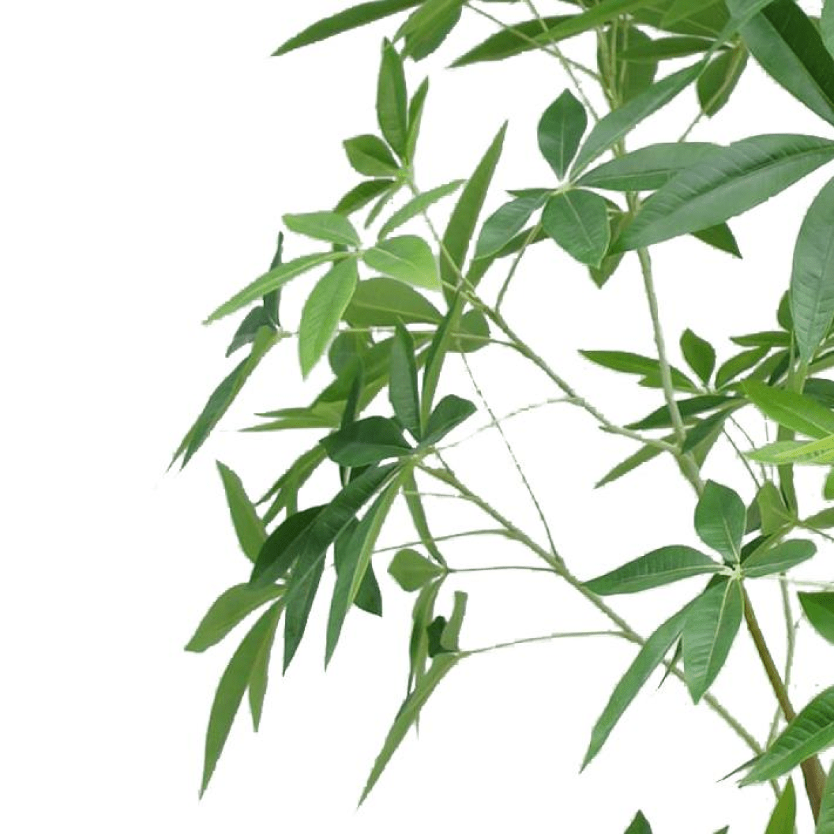 210cm Lifelike Artificial Money Tree - Effortless Greenery for Any Space! - plants - express.com