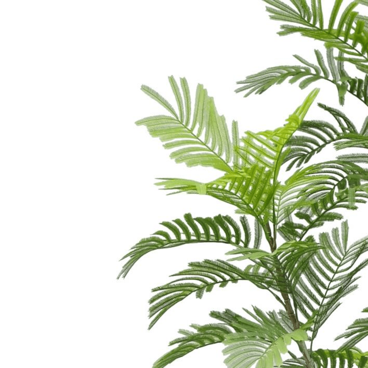 210cm Lifelike Spiny Date Palm - Tropical Elegance for Any Space! - plants - express.com