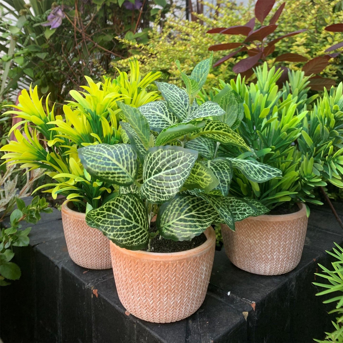 22cm Realistic Honey Plant in Stylish Terracotta Pot - Dark Green Elegance - plants - express.com