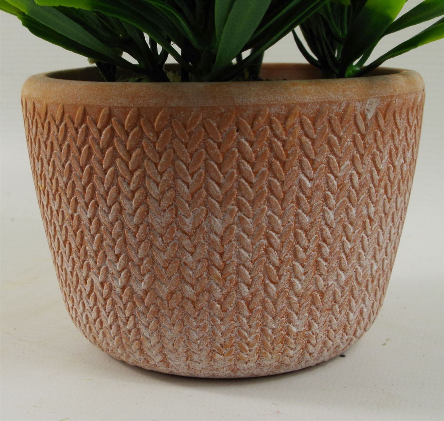22cm Realistic Honey Plant in Stylish Terracotta Pot - Dark Green Elegance - plants - express.com