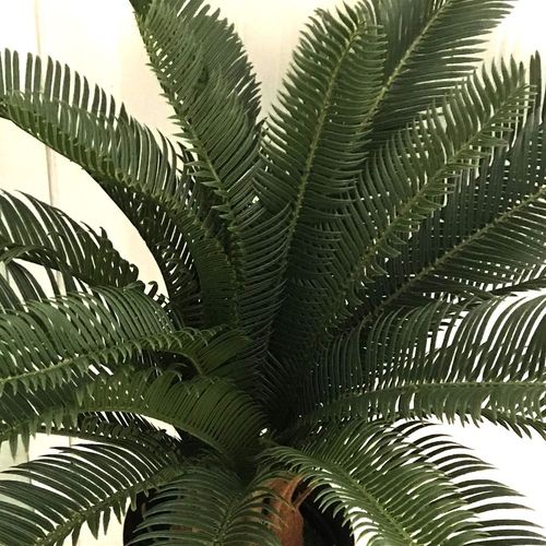 30” Luxe Artificial Cycas Palm Plant - Perfect for Modern Décor & Spaces! - plants - express.com