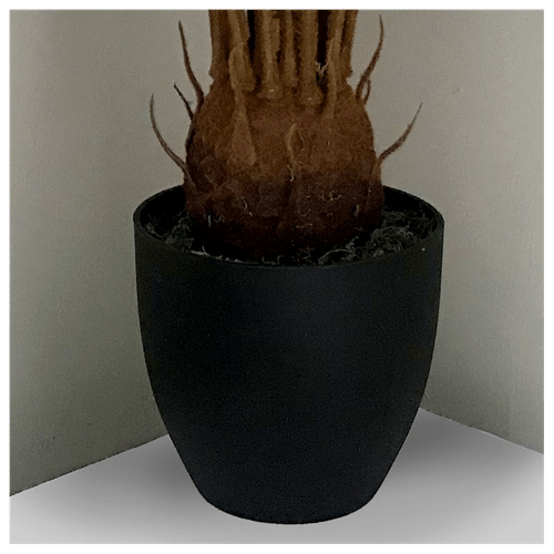 30” Luxe Artificial Cycas Palm Plant - Perfect for Modern Décor & Spaces! - plants - express.com