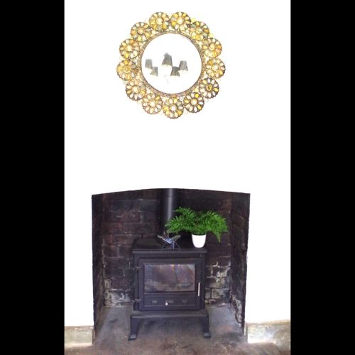30cm Artificial Potted Royal Fern - plants - express.com