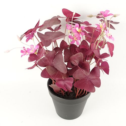30cm Purple Shamrock Artificial Plant with Elegant Pink Flowers - Potted Beauty - plants - express.com