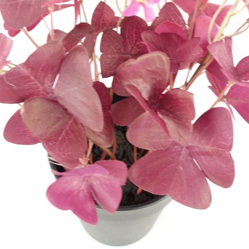 30cm Purple Shamrock Artificial Plant with Elegant Pink Flowers - Potted Beauty - plants - express.com