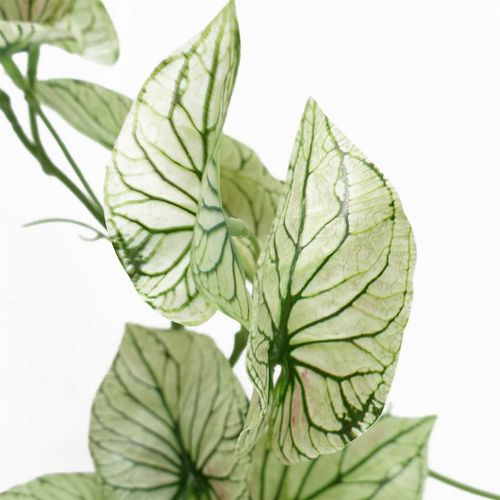 30cm Realistic Potted Variegated Alocasia - Stunning Indoor Decor - plants - express.com