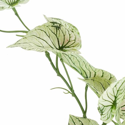 30cm Realistic Potted Variegated Alocasia - Stunning Indoor Decor - plants - express.com