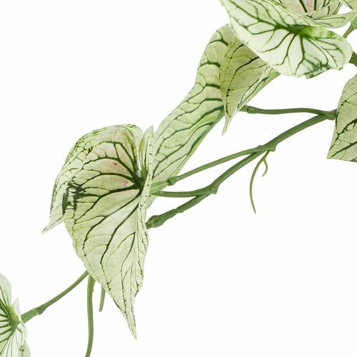 30cm Realistic Variegated Alocasia in Decorative Pot – Perfect Shelf Accent! - plants - express.com