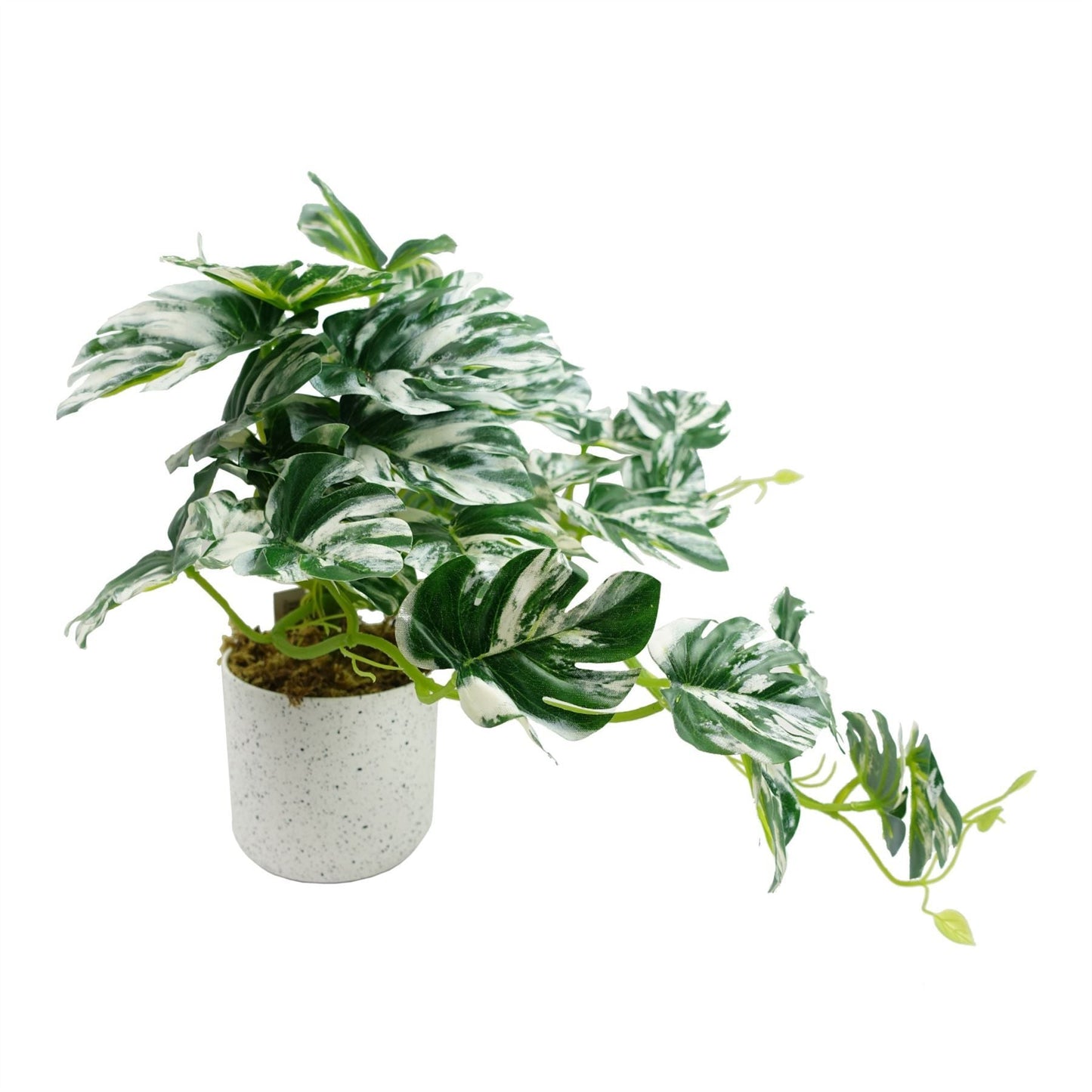 30cm Realistic Variegated Monstera - Effortless Greenery for Your Space! - plants - express.com