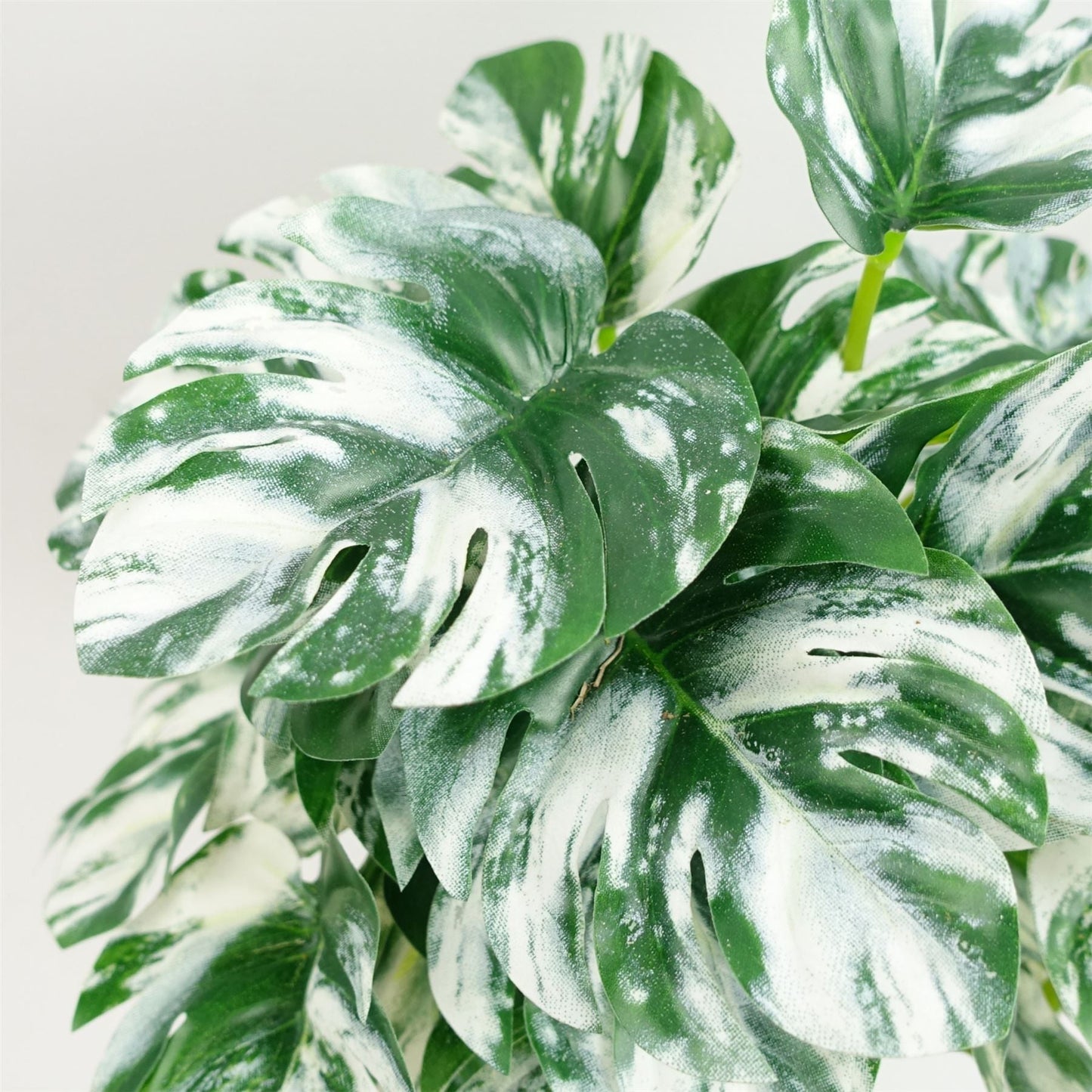 30cm Realistic Variegated Monstera - Effortless Greenery for Your Space! - plants - express.com