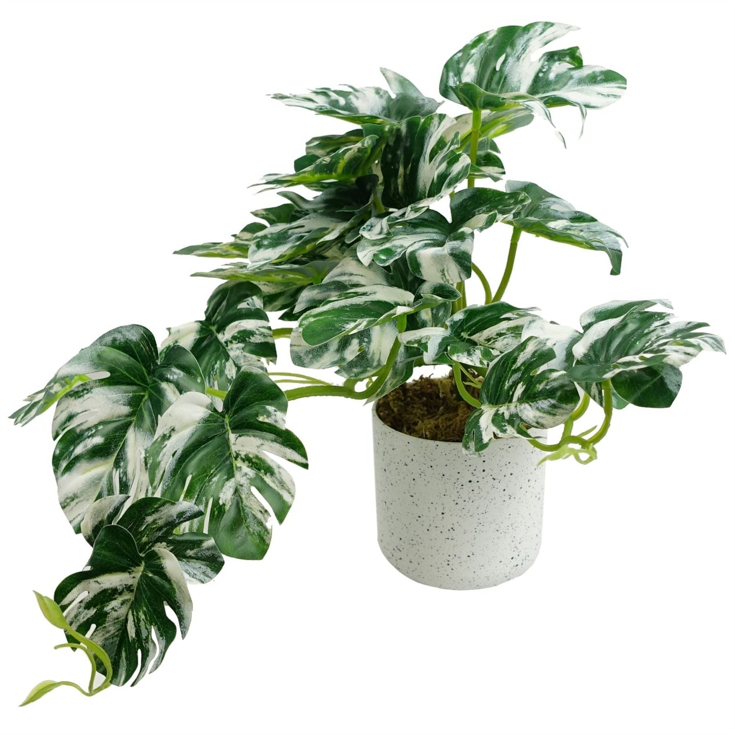 30cm Realistic Variegated Monstera - Effortless Greenery for Your Space! - plants - express.com