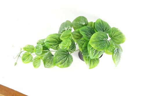 35cm Artificial Trailing Green Potted Pothos Plant - plants - express.com