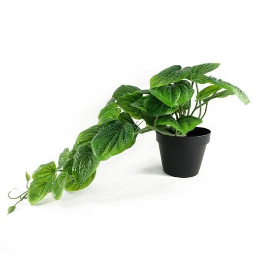 35cm Artificial Trailing Green Potted Pothos Plant - plants - express.com