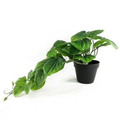 35cm Realistic Potted Pothos Plant - Lifelike Artificial Greenery Display - plants - express.com