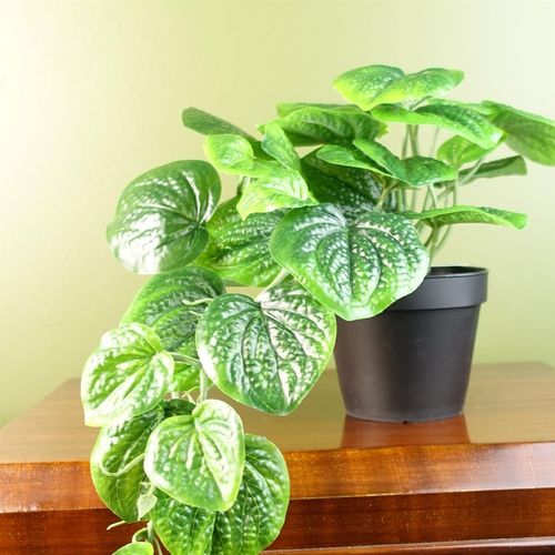 35cm Realistic Potted Pothos Plant - Lifelike Artificial Greenery Display - plants - express.com