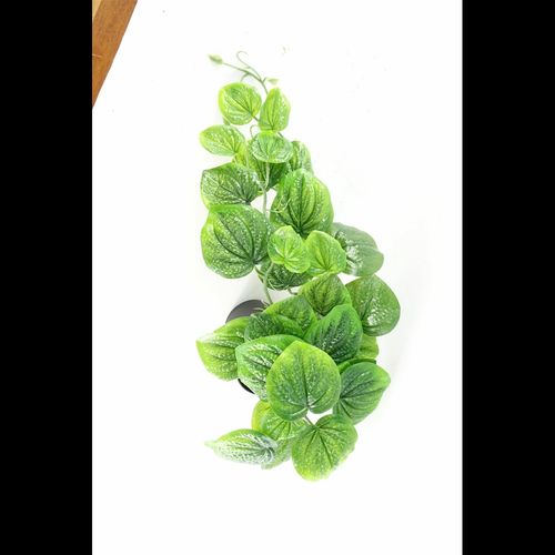 35cm Realistic Potted Pothos Plant - Lifelike Artificial Greenery Display - plants - express.com