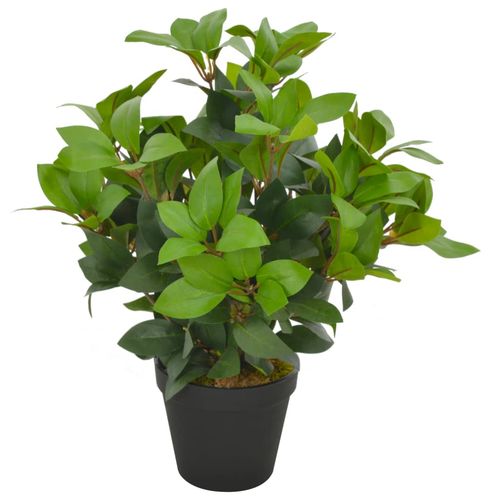 40cm Life - Like Laurel Tree in Pot - Lush Green Artificial Plant Décor - plants - express.com
