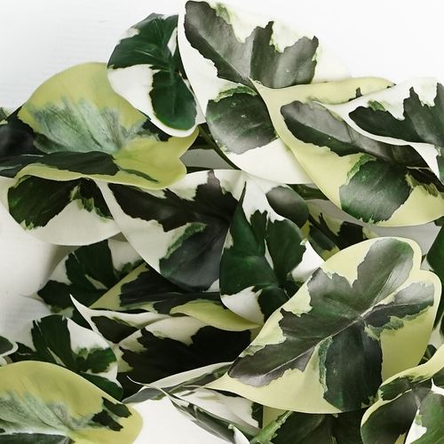 40cm Realistic Variegated Marble Pothos - Lush Trailing Artificial Plant - plants - express.com