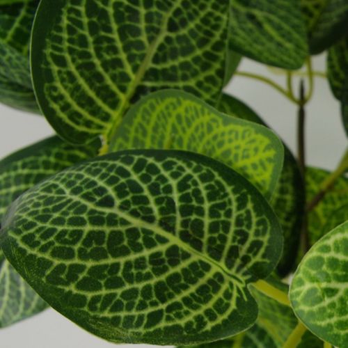 40cm Realistic Variegated Pothos Plant in Stylish Black Pot - Effortless Décor! - plants - express.com