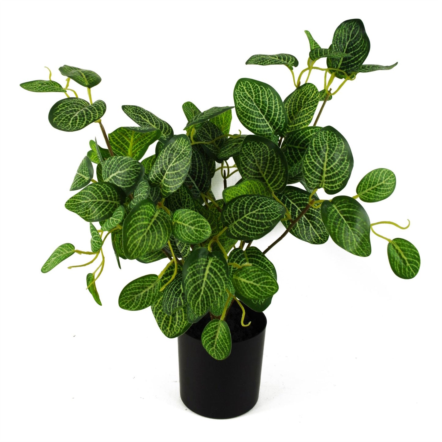 40cm Realistic Variegated Pothos Plant in Stylish Black Pot - Effortless Décor! - plants - express.com