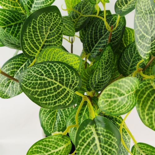 40cm Realistic Variegated Pothos Plant in Stylish Black Pot - Effortless Décor! - plants - express.com