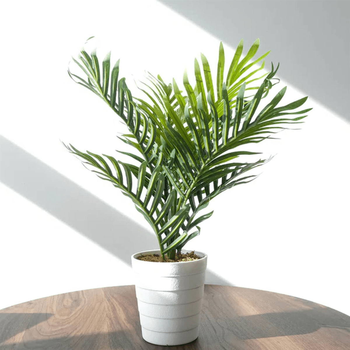 50cm Lifelike Mini Palm Tree - Effortless Greenery for Any Space! - plants - express.com