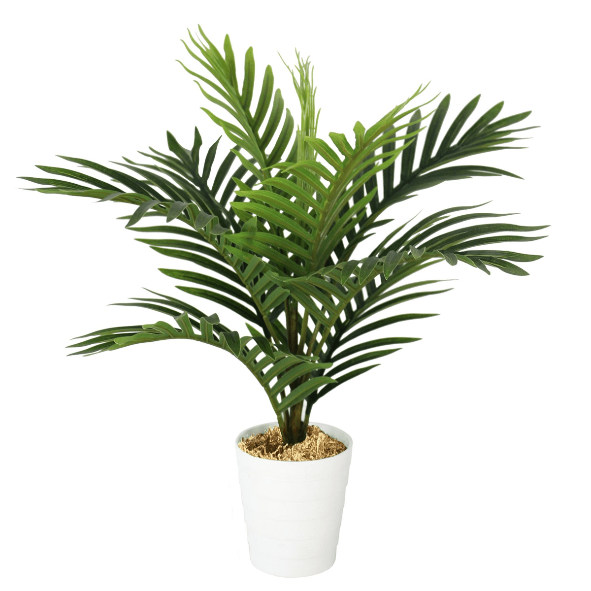 50cm Lifelike Mini Palm Tree - Effortless Greenery for Any Space! - plants - express.com