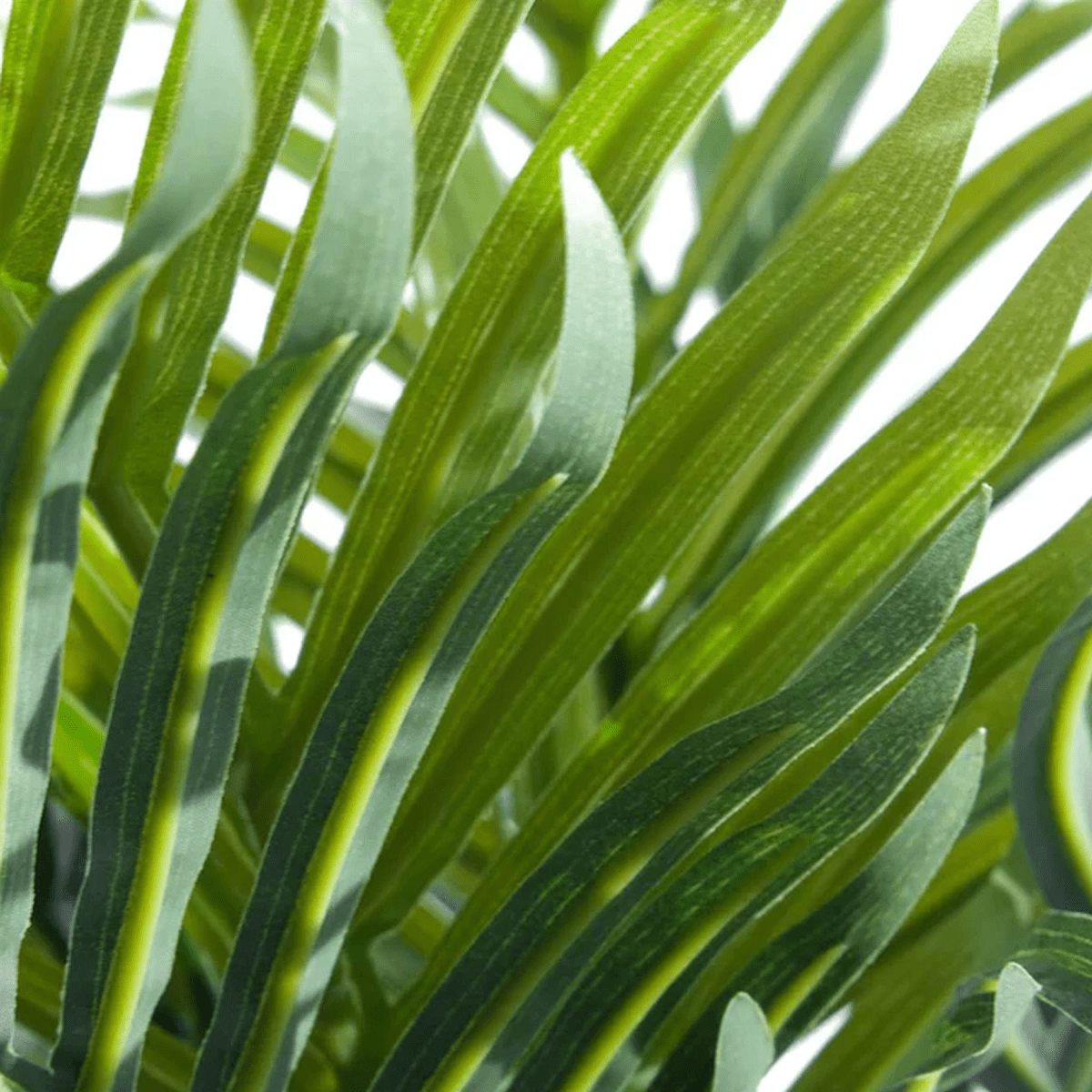 50cm Lifelike Mini Palm Tree - Effortless Greenery for Any Space! - plants - express.com