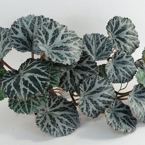 50cm Lifelike Trailing Begonia - Stunning Faux Plant for Stylish Displays - plants - express.com