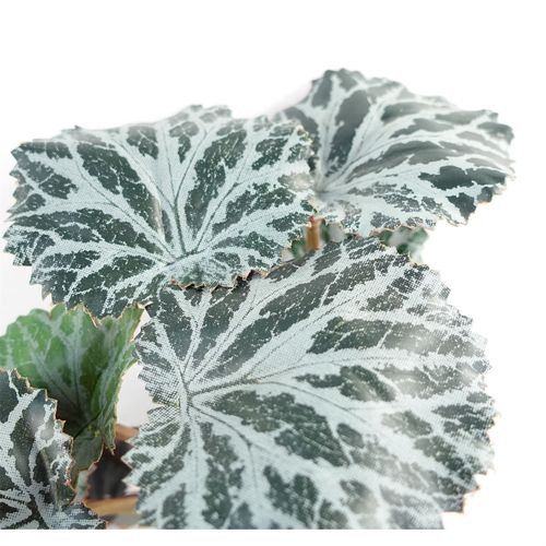 50cm Lifelike Trailing Begonia - Stunning Faux Plant for Stylish Displays - plants - express.com