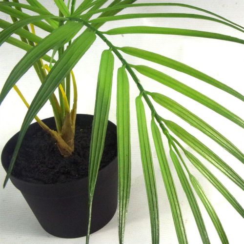 50cm Lush Mini Artificial Areca Palm - Perfect for Any Space! - plants - express.com