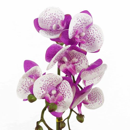 50cm Realistic Purple & White Phalaenopsis Orchid in Elegant Gold Pot - plants - express.com