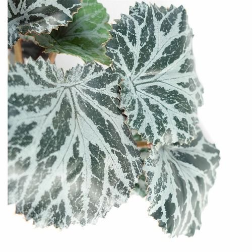 50cm Realistic Trailing Begonia Plant - Lifelike Cascading Foliage - plants - express.com