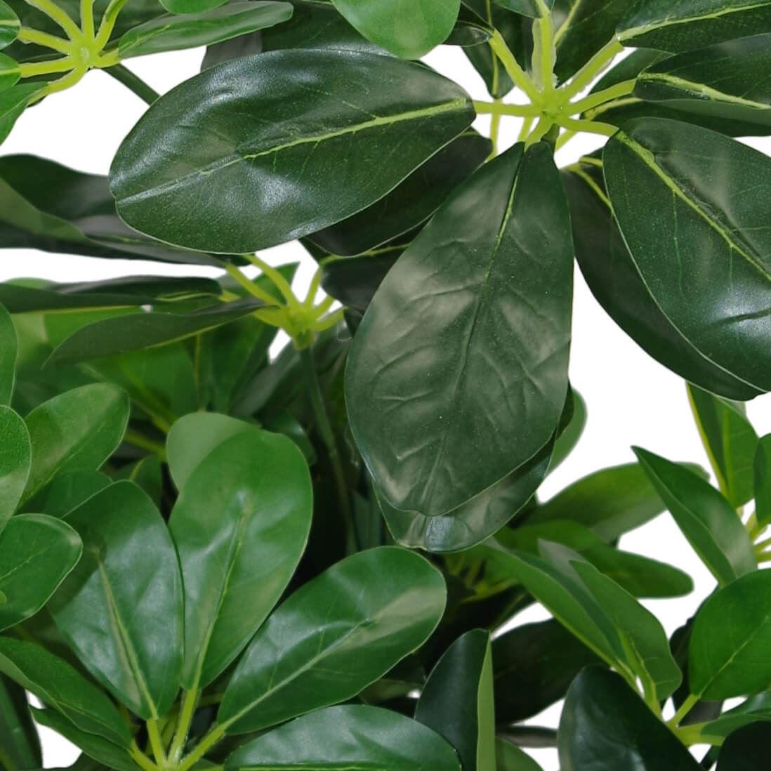 55cm Dark Green Artificial Schefflera Arboricola - Lifelike Home Decor Plant - plants - express.com