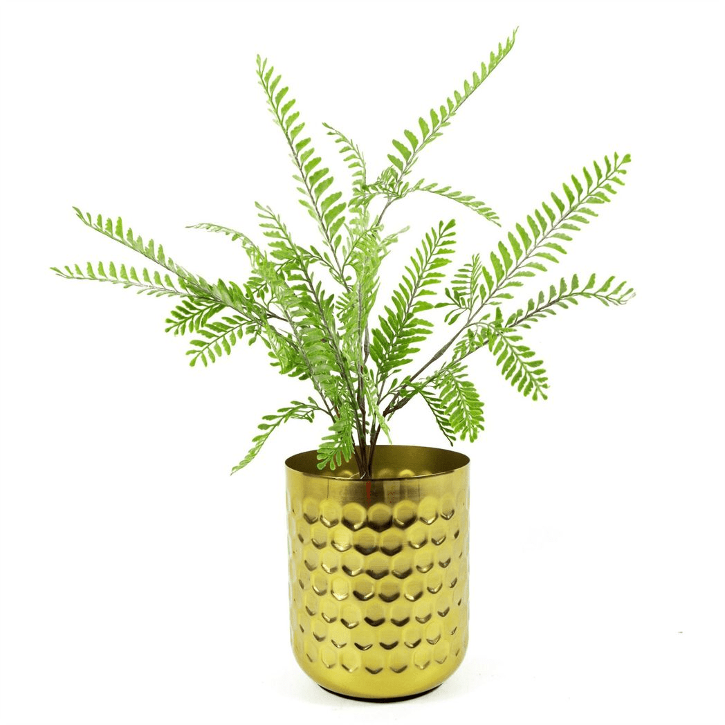 55cm Himalayan Maidenhair Fern - Realistic Artificial Plant for Effortless Elegance - plants - express.com