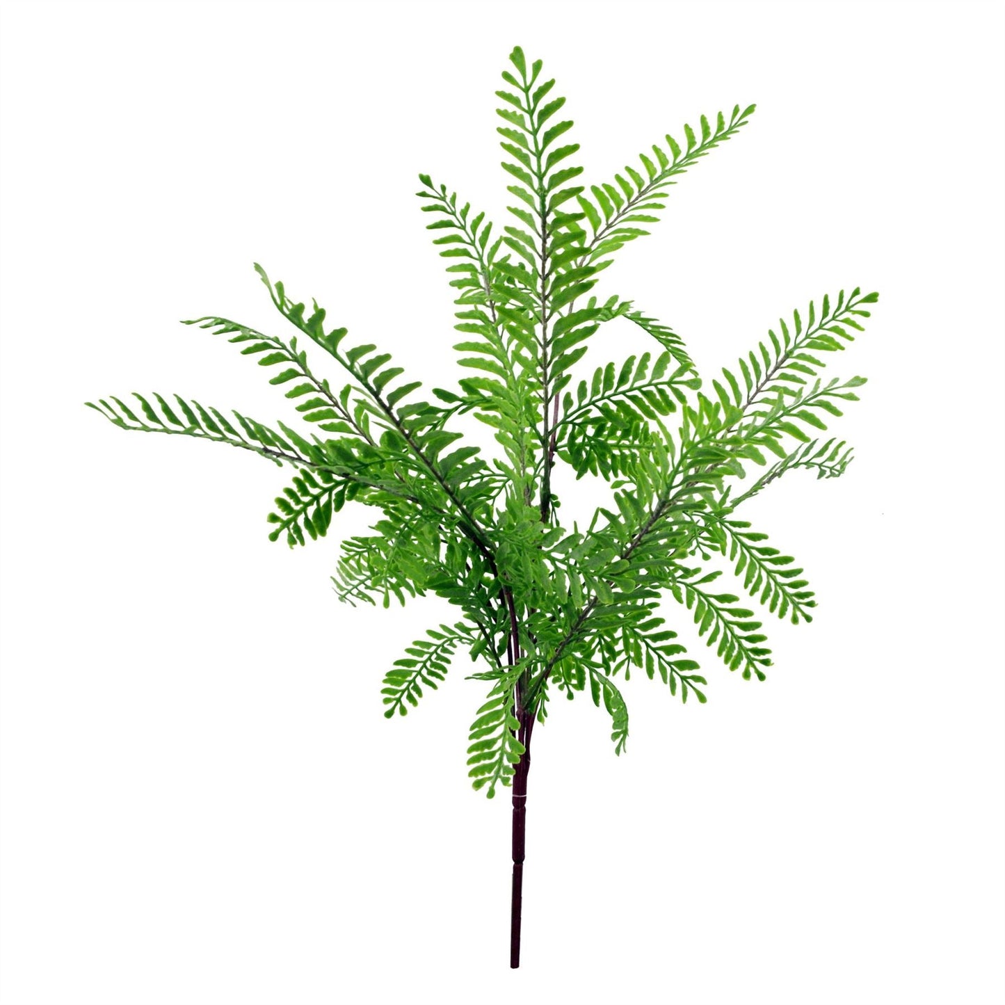 55cm Himalayan Maidenhair Fern - Realistic Artificial Plant for Effortless Elegance - plants - express.com