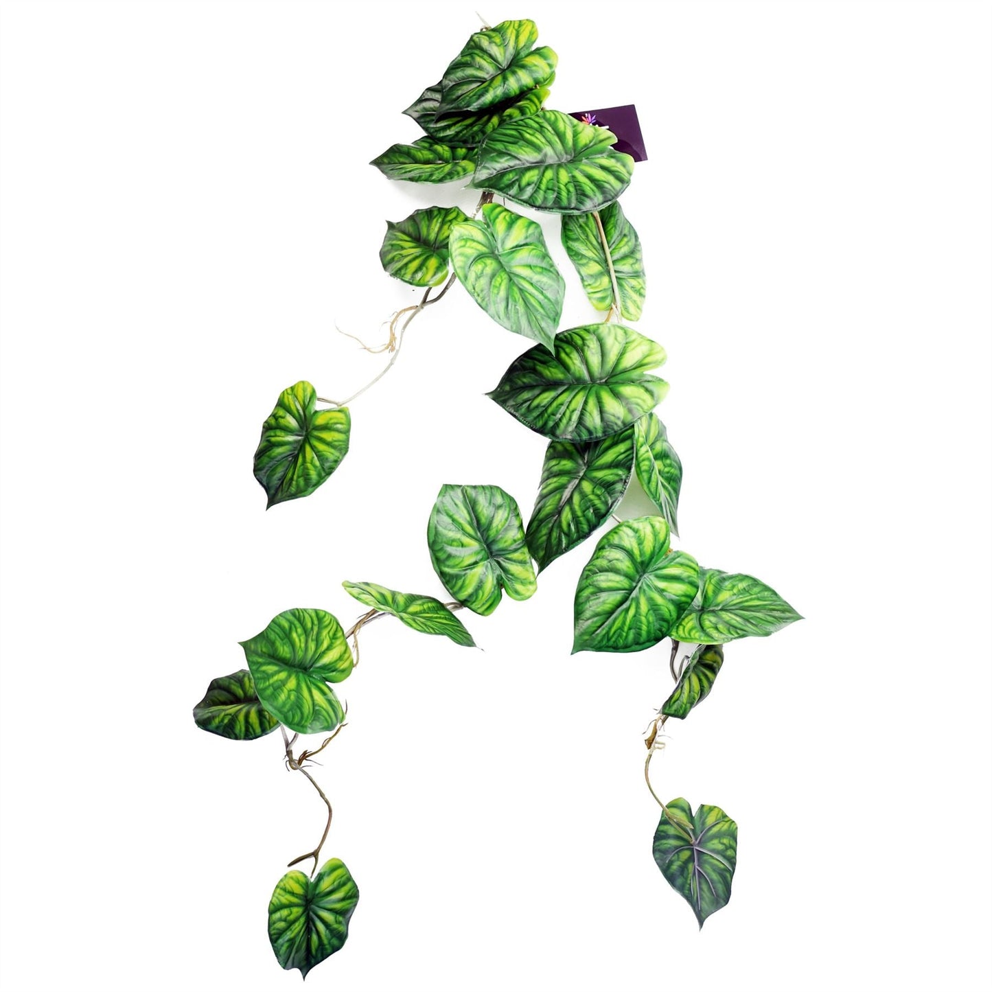 6 - Pack 120cm Alocasia Dragon Scale Fake Plants - Lush Green Trailing Vines - plants - express.com