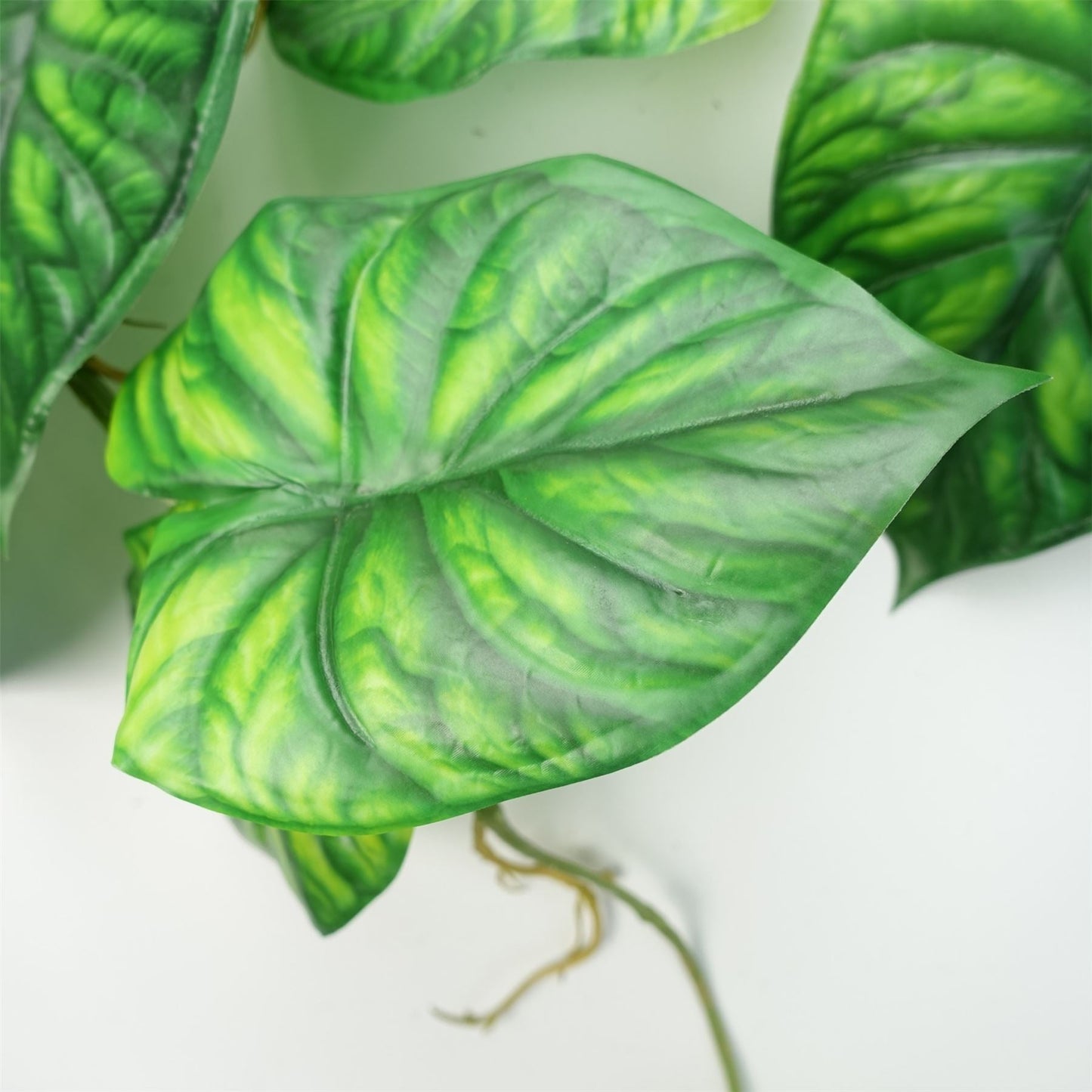 6 - Pack 120cm Alocasia Dragon Scale Fake Plants - Lush Green Trailing Vines - plants - express.com