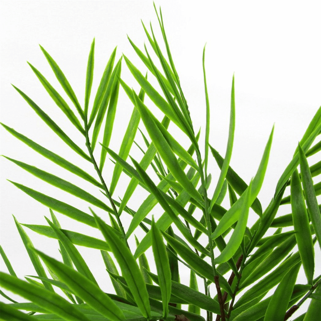 6 - Pack 40cm Realistic Artificial Bamboo Palm Bush - No Maintenance Needed! - plants - express.com