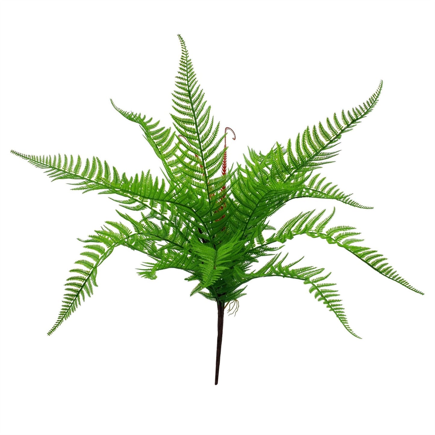 6 - Pack 60cm Realistic Dark Green Artificial Dixie Wood Ferns - No Maintenance! - plants - express.com