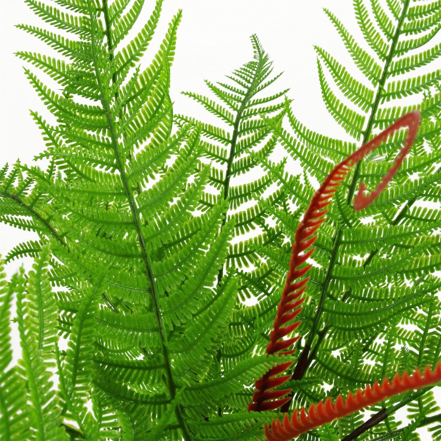 6 - Pack 60cm Realistic Dark Green Artificial Dixie Wood Ferns - No Maintenance! - plants - express.com