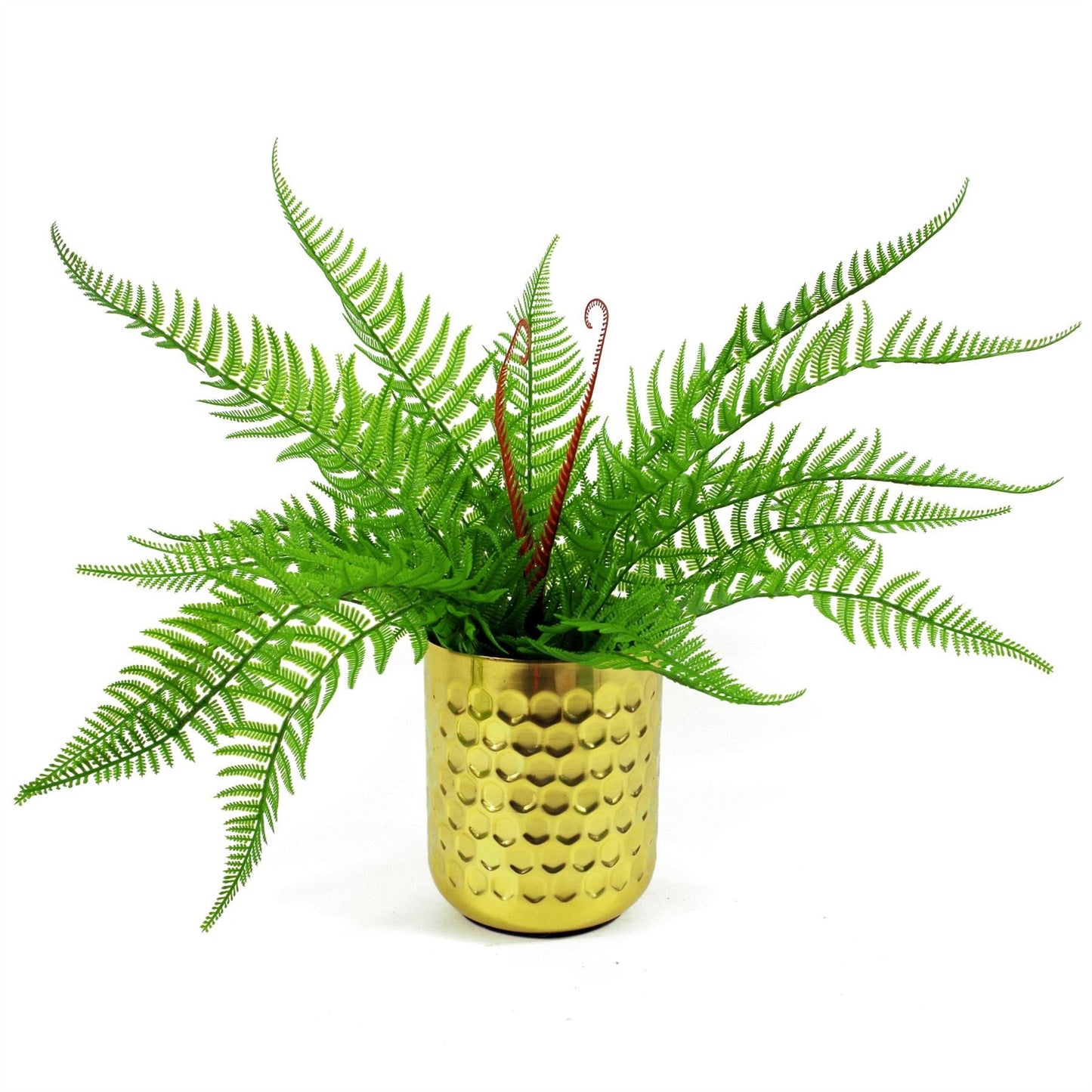 6 - Pack 60cm Realistic Dark Green Artificial Dixie Wood Ferns - No Maintenance! - plants - express.com