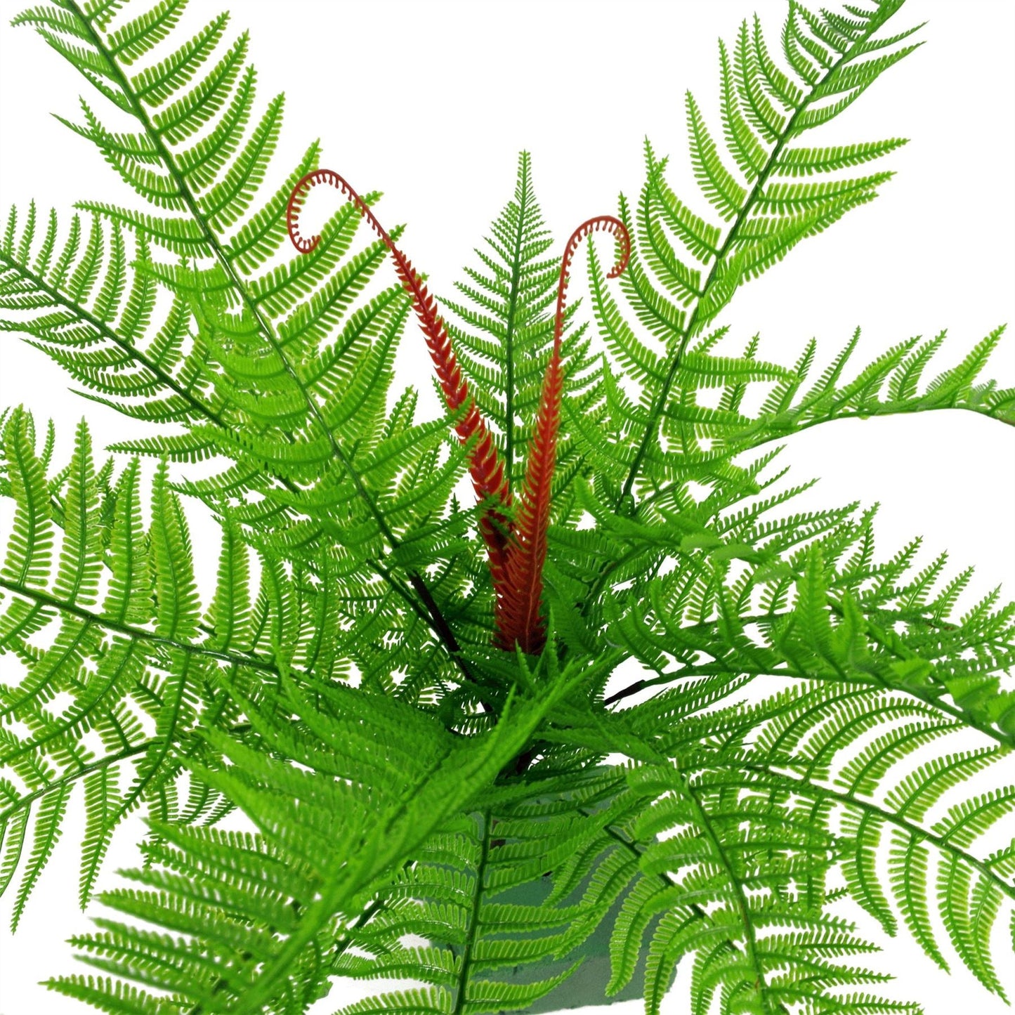 6 - Pack 60cm Realistic Dark Green Artificial Dixie Wood Ferns - No Maintenance! - plants - express.com