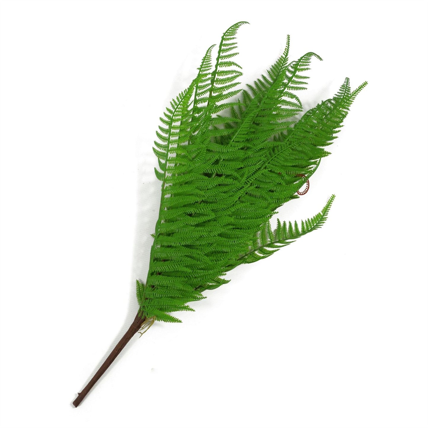 6 - Pack 60cm Realistic Dark Green Artificial Dixie Wood Ferns - No Maintenance! - plants - express.com