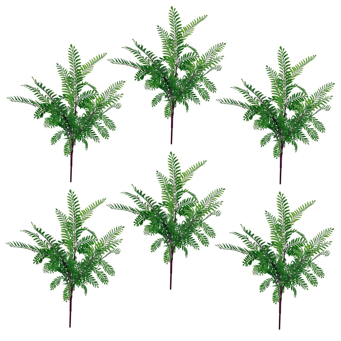6 - Pack Dark Green Himalayan Maidenhair Fern Bush - No Maintenance, Realistic - plants - express.com